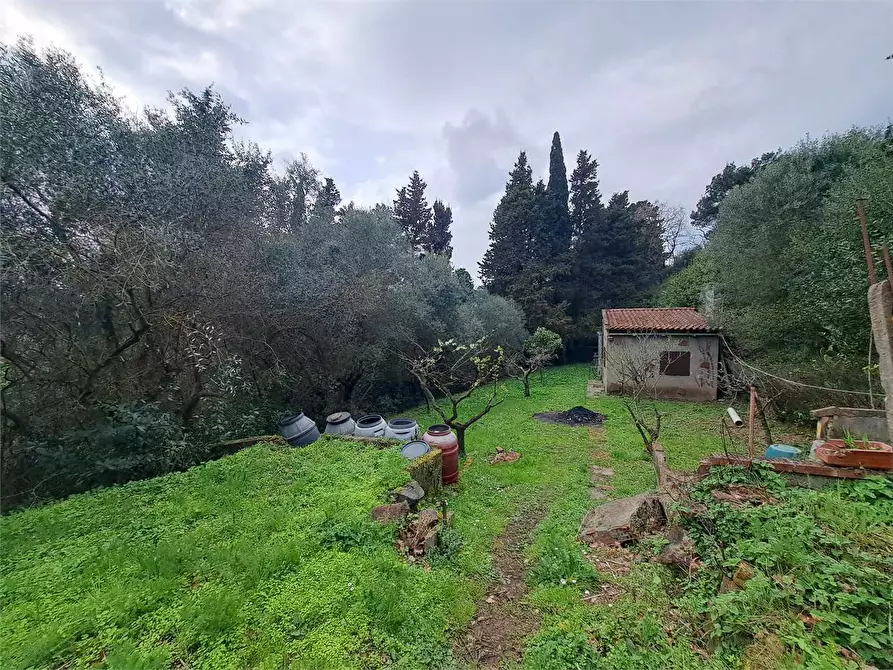 Immagine 10 di Terreno agricolo in vendita  in via Fonte della Puzzolente a Livorno