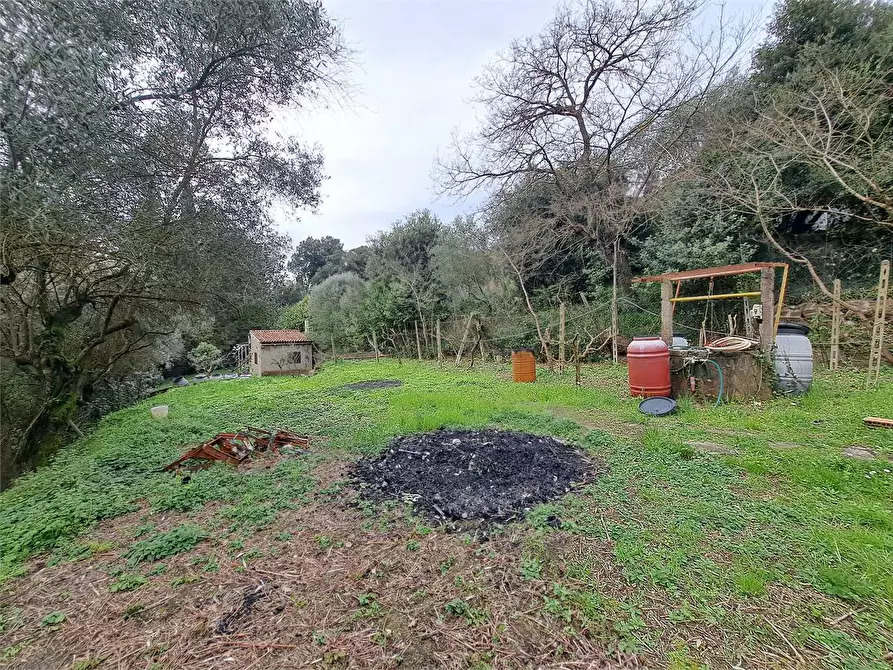 Immagine 11 di Terreno agricolo in vendita  in via Fonte della Puzzolente a Livorno