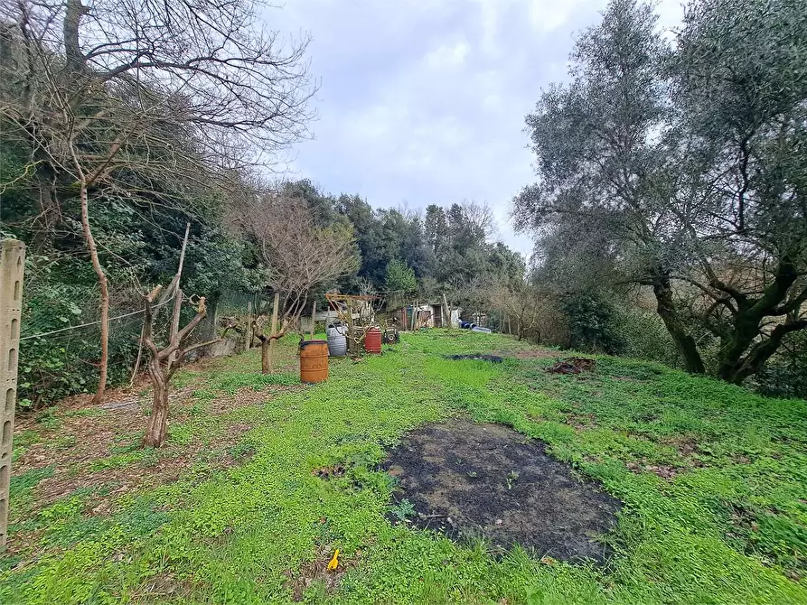 Immagine 12 di Terreno agricolo in vendita  in via Fonte della Puzzolente a Livorno