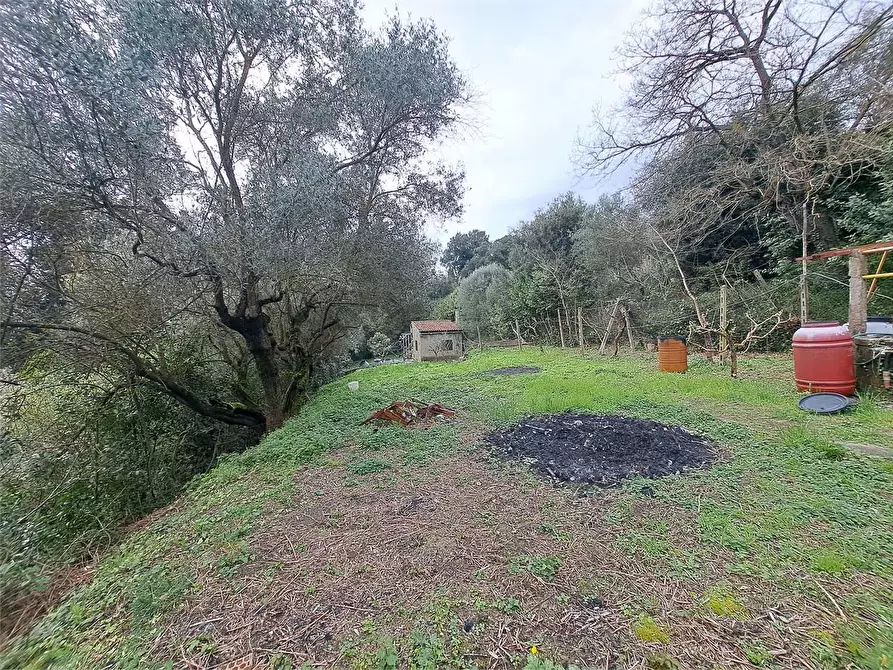 Immagine 13 di Terreno agricolo in vendita  in via Fonte della Puzzolente a Livorno