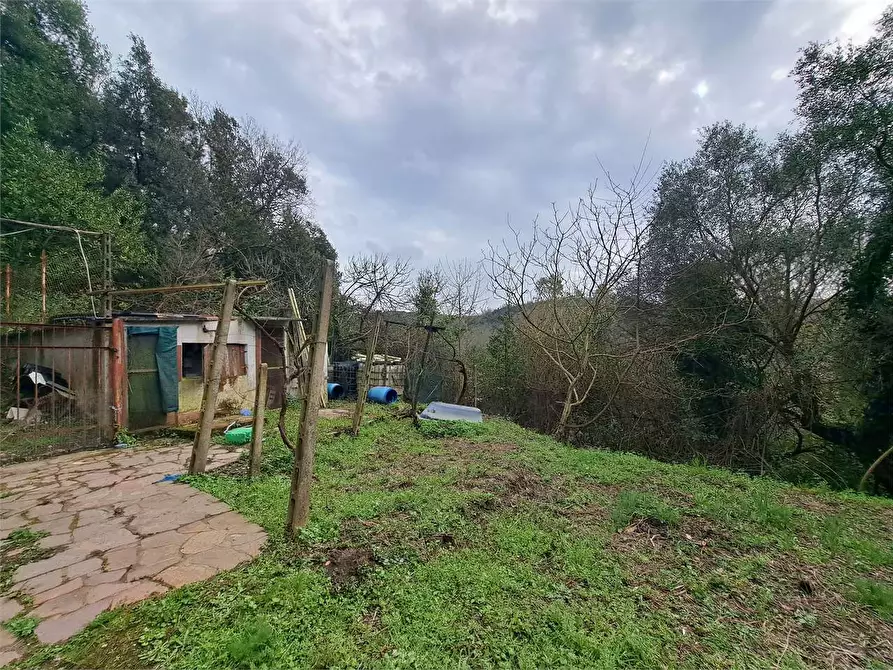 Immagine 14 di Terreno agricolo in vendita  in via Fonte della Puzzolente a Livorno