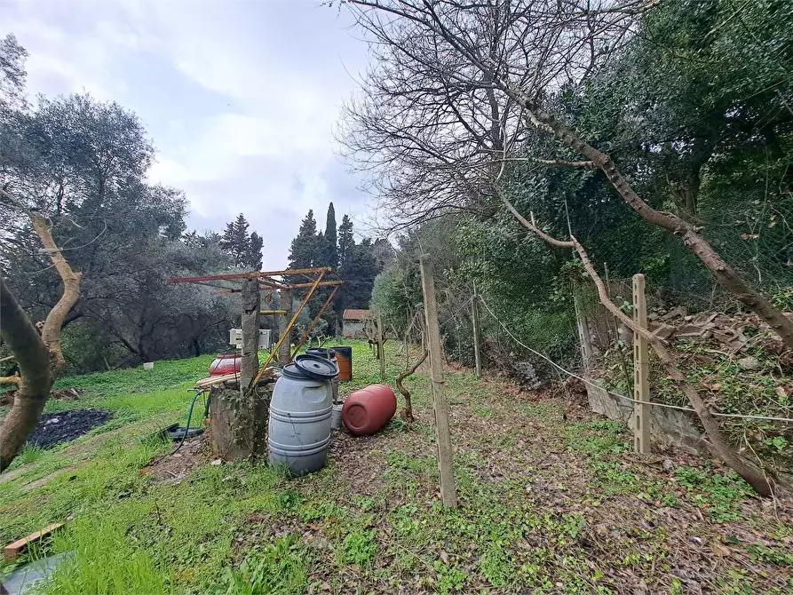 Immagine 15 di Terreno agricolo in vendita  in via Fonte della Puzzolente a Livorno