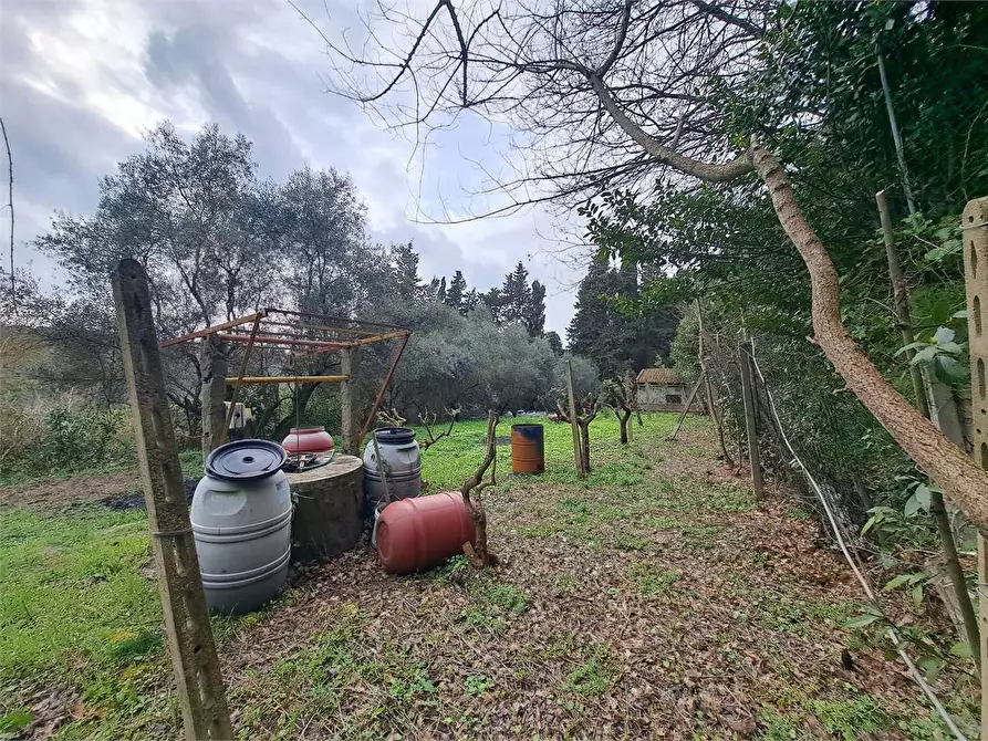 Immagine 16 di Terreno agricolo in vendita  in via Fonte della Puzzolente a Livorno