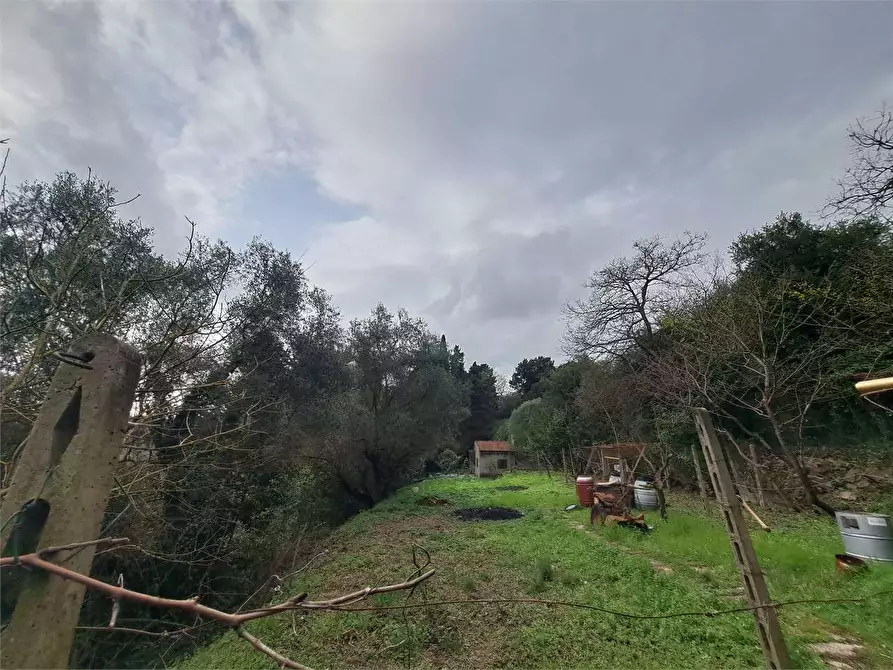 Immagine 17 di Terreno agricolo in vendita  in via Fonte della Puzzolente a Livorno