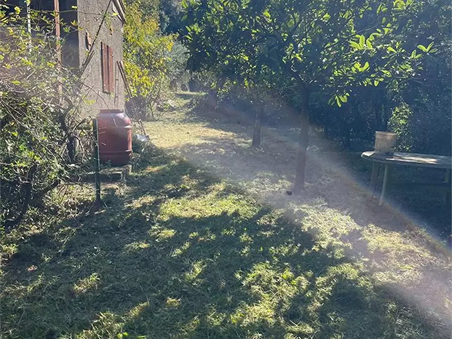 Immagine 18 di Terreno agricolo in vendita  in via Fonte della Puzzolente a Livorno