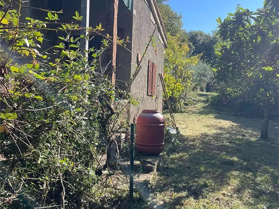 Immagine 21 di Terreno agricolo in vendita  in via Fonte della Puzzolente a Livorno