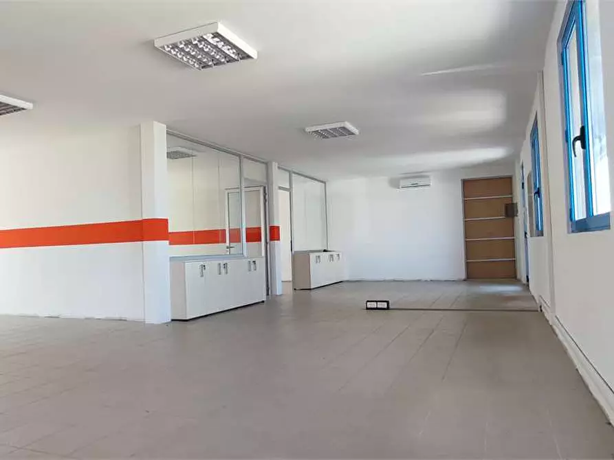 Immagine 5 di Capannone industriale in vendita  in Via Spagna 30 a Collesalvetti