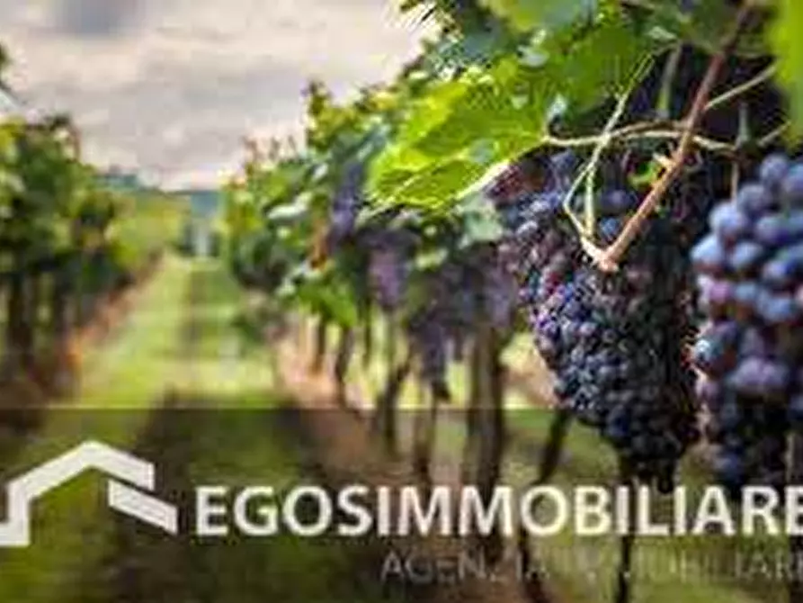 Immagine 14 di Azienda agricola in vendita  in Via Mattina a Brescia