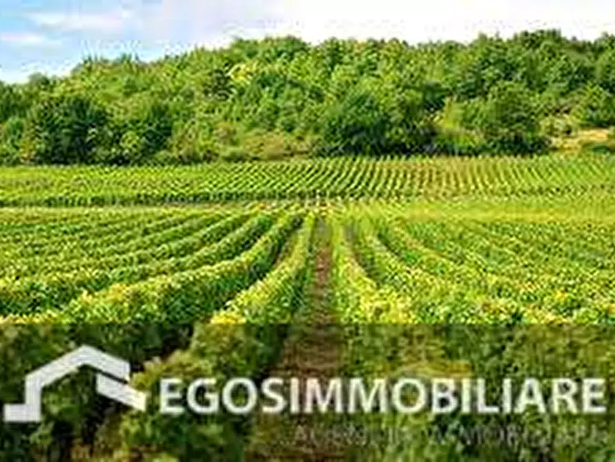 Immagine 15 di Azienda agricola in vendita  in Via Mattina a Brescia