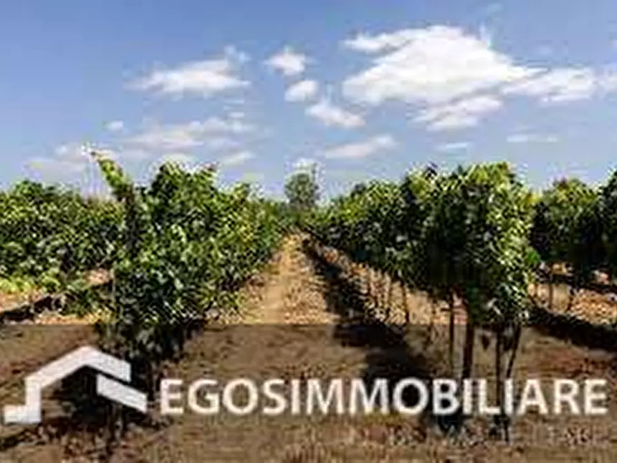 Immagine 16 di Azienda agricola in vendita  in Via Mattina a Brescia