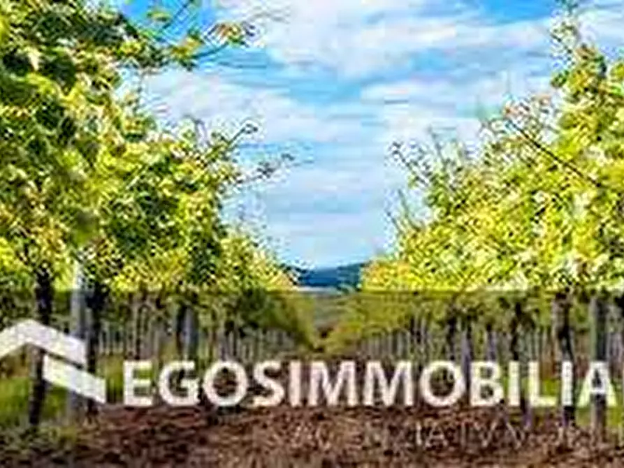 Immagine 17 di Azienda agricola in vendita  in Via Mattina a Brescia