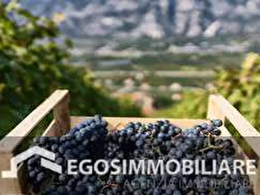 Immagine 18 di Azienda agricola in vendita  in Via Mattina a Brescia