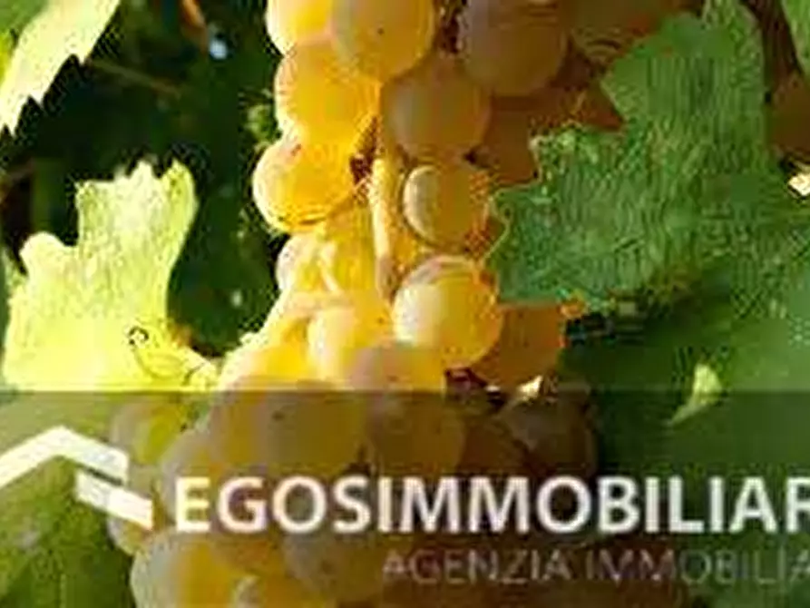 Immagine 19 di Azienda agricola in vendita  in Via Mattina a Brescia
