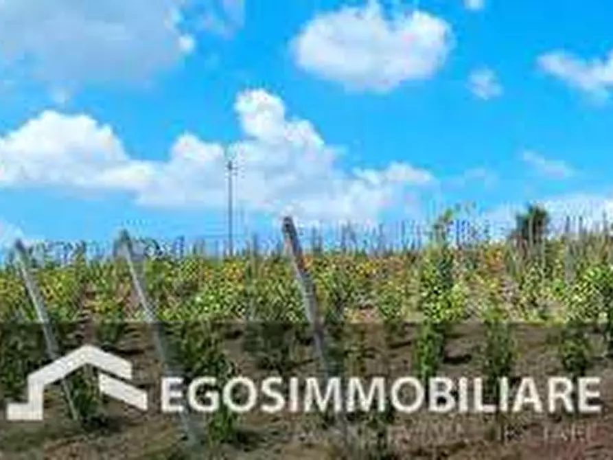 Immagine 20 di Azienda agricola in vendita  in Via Mattina a Brescia
