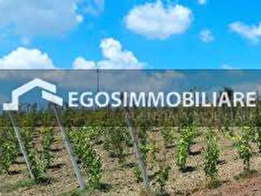 Immagine 20 di Azienda agricola in vendita  in Via Mattina a Brescia