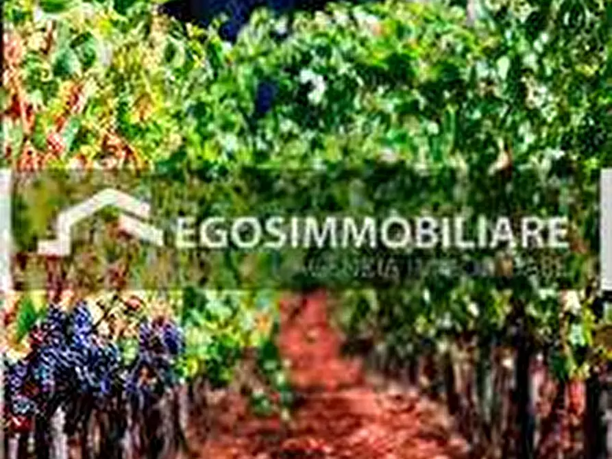 Immagine 21 di Azienda agricola in vendita  in Via Mattina a Brescia