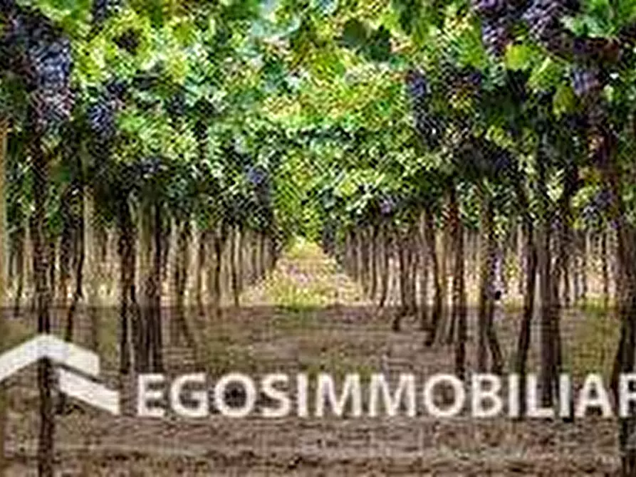 Immagine 22 di Azienda agricola in vendita  in Via Mattina a Brescia