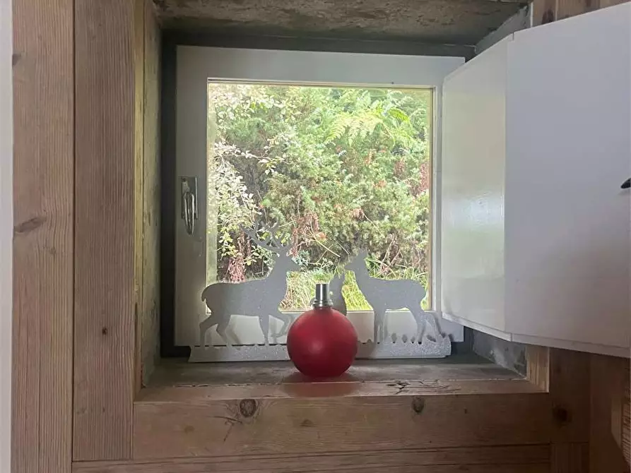 Immagine 9 di Villa in affitto  in Via Don Natale Talamini a Borca Di Cadore