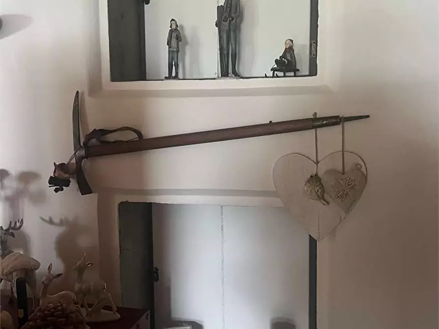 Immagine 10 di Villa in affitto  in Via Don Natale Talamini a Borca Di Cadore