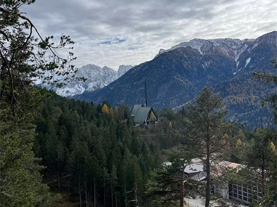 Immagine 15 di Villa in affitto  in Via Don Natale Talamini a Borca Di Cadore