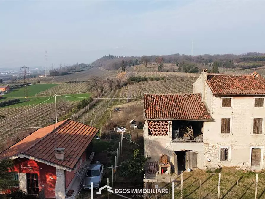 Immagine 3 di Terreno agricolo in vendita  in Via Bellavista snc a Sona
