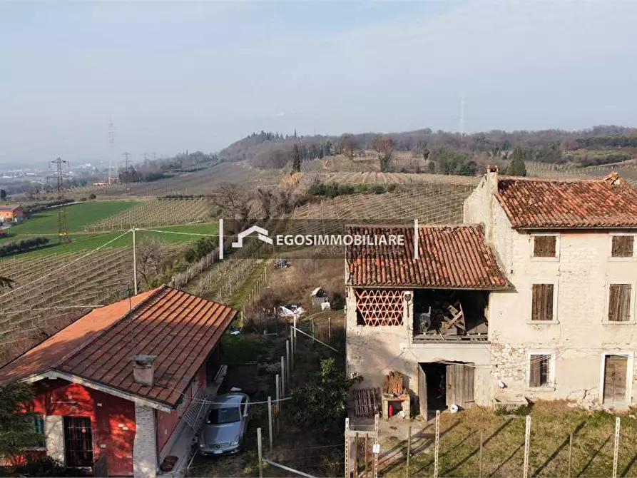 Immagine 3 di Terreno agricolo in vendita  in Via Bellavista snc a Sona