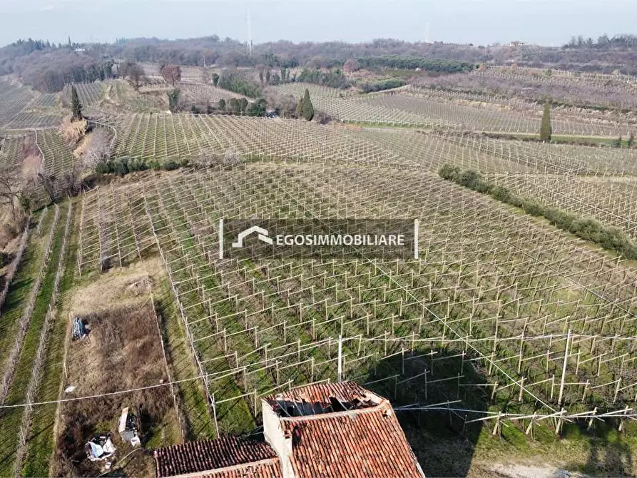 Immagine 2 di Terreno agricolo in vendita  in Via Bellavista snc a Sona