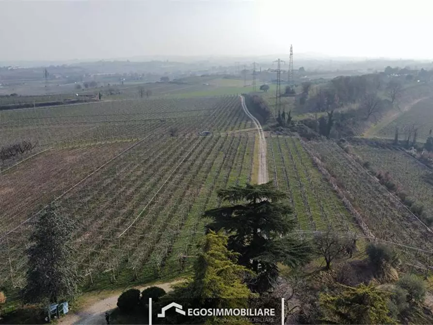 Immagine 7 di Terreno agricolo in vendita  in Via Bellavista snc a Sona
