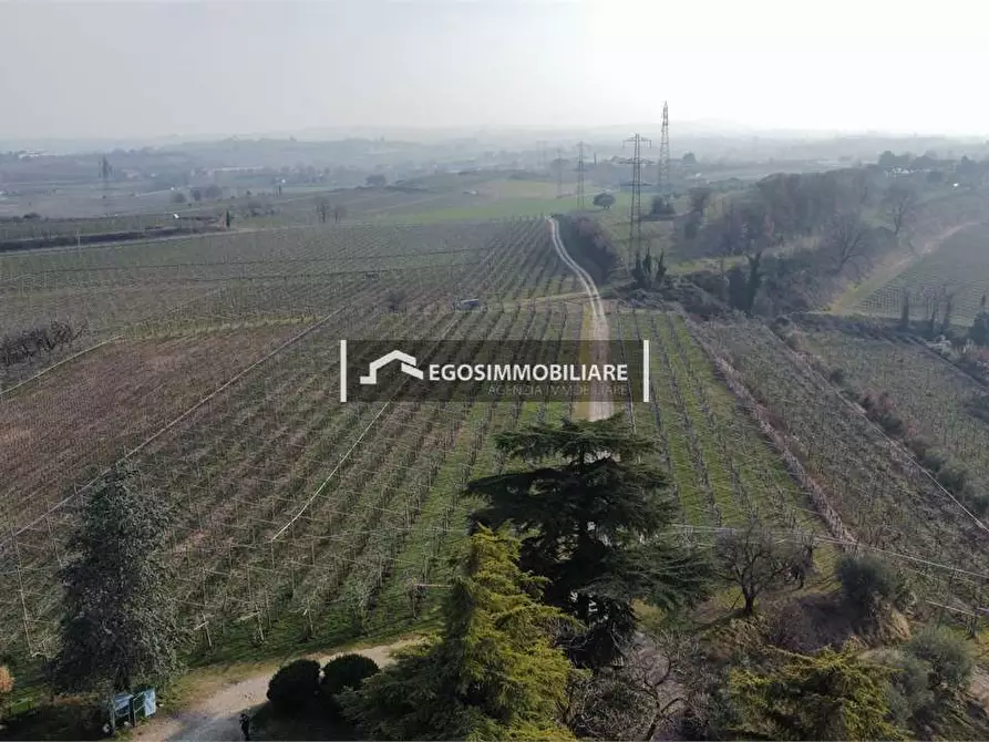 Immagine 7 di Terreno agricolo in vendita  in Via Bellavista snc a Sona