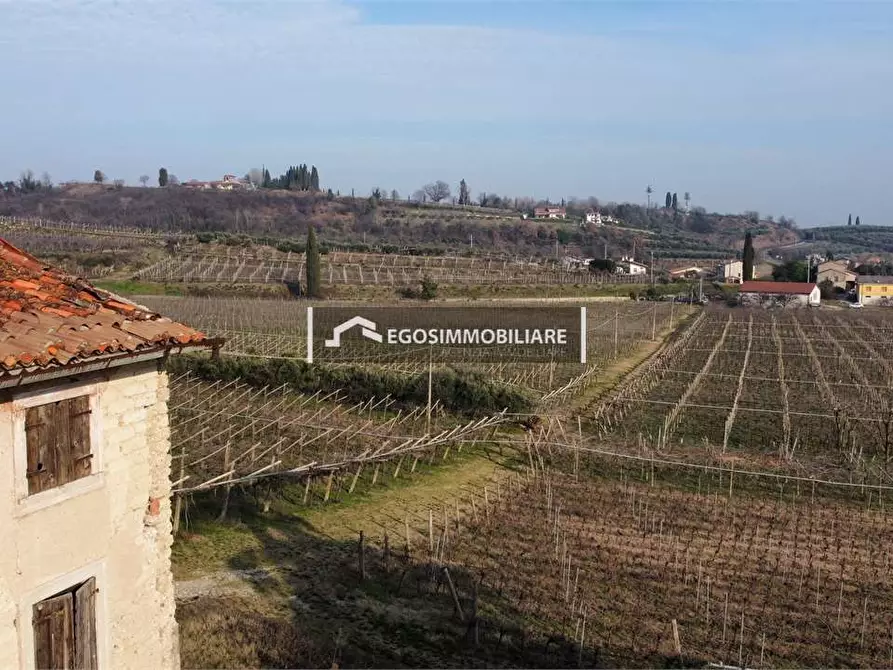 Immagine 16 di Terreno agricolo in vendita  in Via Bellavista snc a Sona