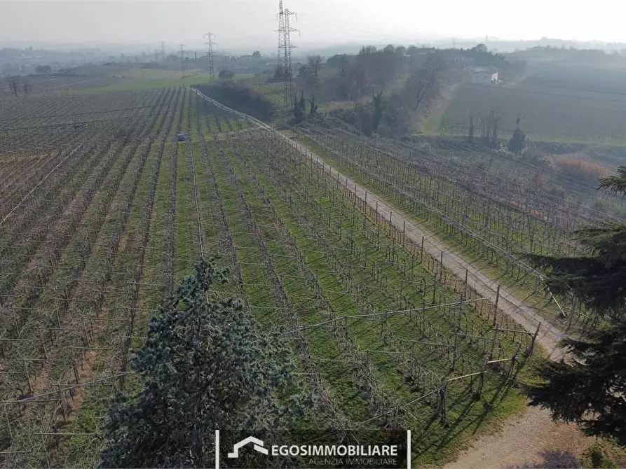 Immagine 17 di Terreno agricolo in vendita  in Via Bellavista snc a Sona