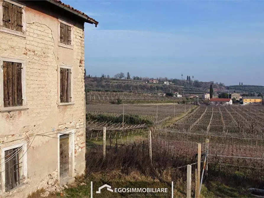 Immagine 18 di Terreno agricolo in vendita  in Via Bellavista snc a Sona