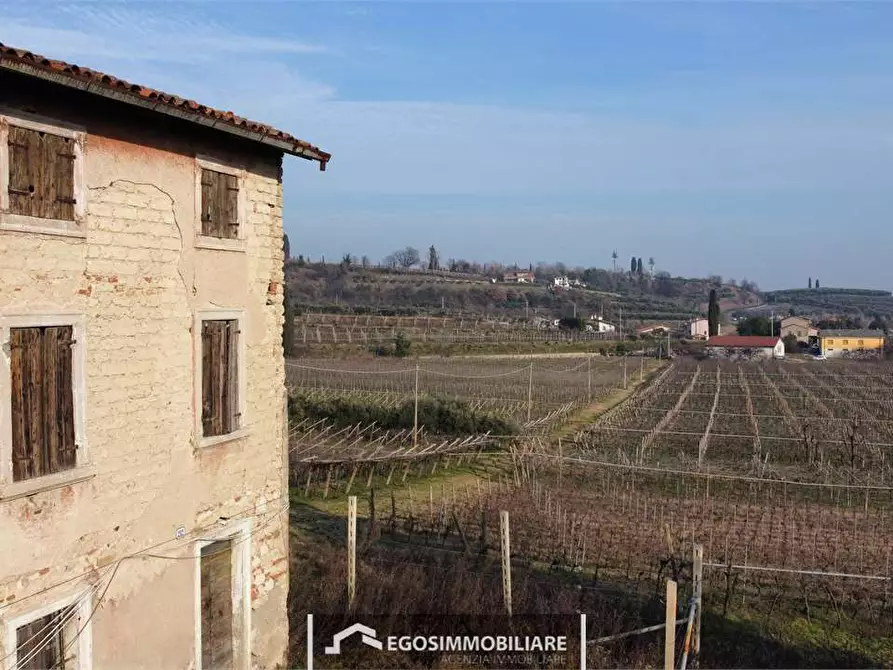 Immagine 19 di Terreno agricolo in vendita  in Via Bellavista snc a Sona
