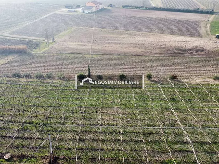 Immagine 21 di Terreno agricolo in vendita  in Via Bellavista snc a Sona