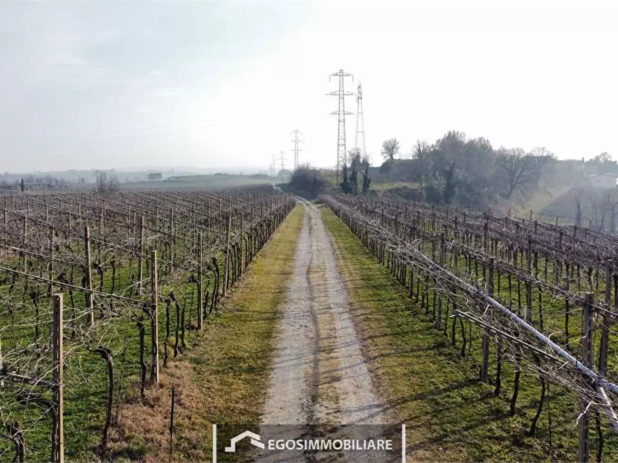 Immagine 24 di Terreno agricolo in vendita  in Via Bellavista snc a Sona