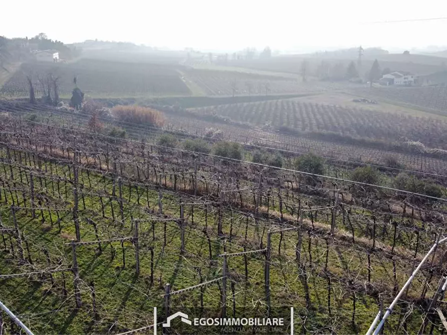 Immagine 25 di Terreno agricolo in vendita  in Via Bellavista snc a Sona
