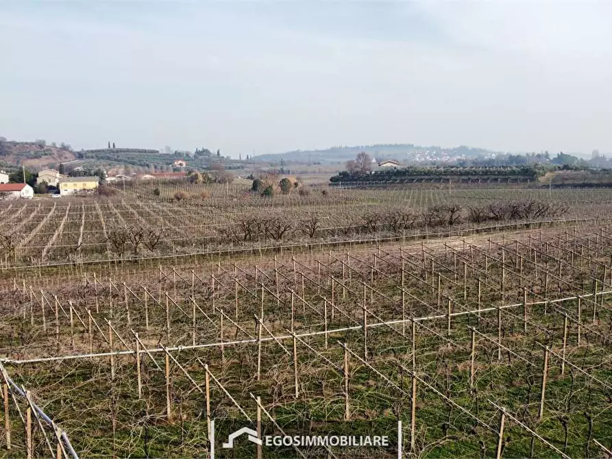 Immagine 27 di Terreno agricolo in vendita  in Via Bellavista snc a Sona