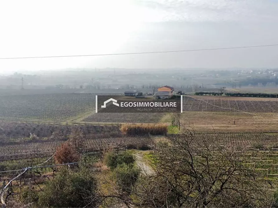 Immagine 28 di Terreno agricolo in vendita  in Via Bellavista snc a Sona