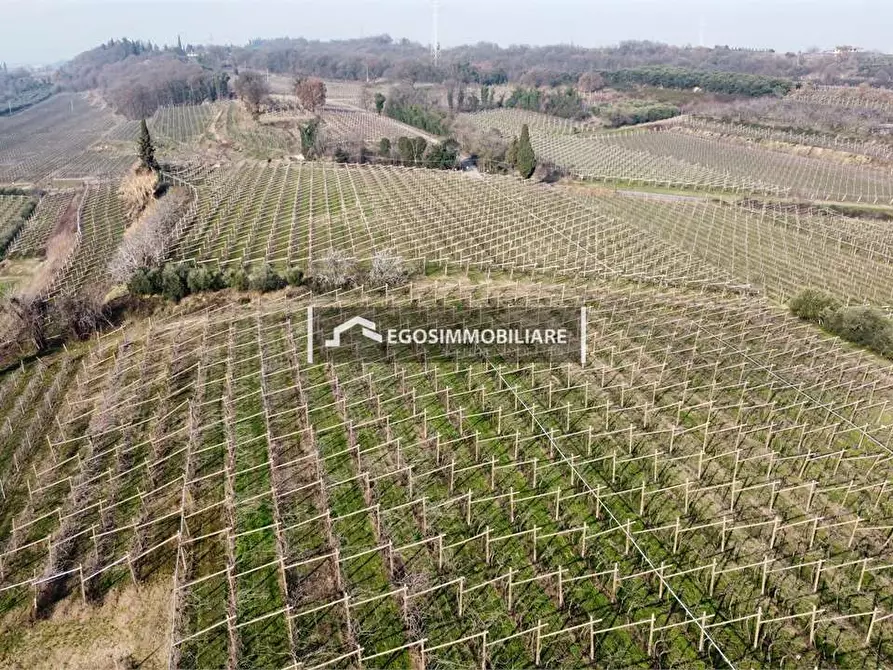 Immagine 8 di Rustico / casale in vendita  in Via Bellavista snc a Sona
