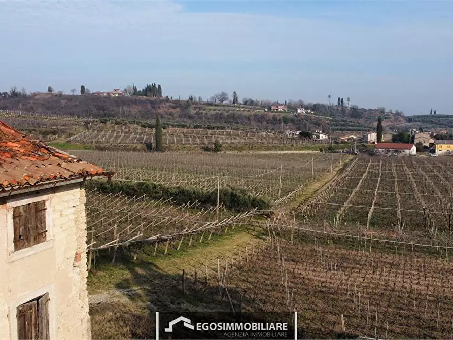 Immagine 16 di Rustico / casale in vendita  in Via Bellavista snc a Sona