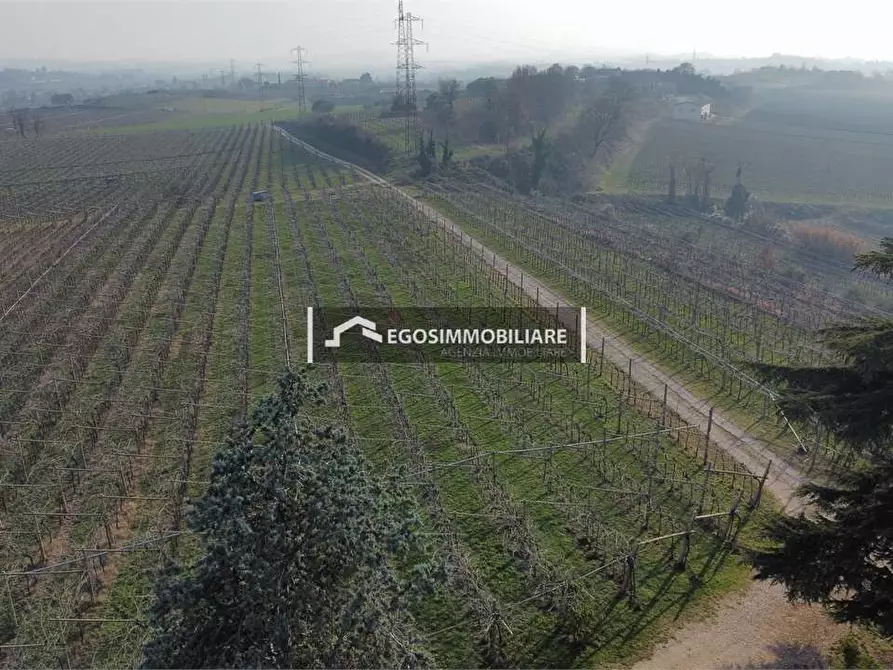 Immagine 17 di Rustico / casale in vendita  in Via Bellavista snc a Sona