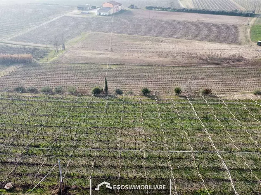 Immagine 21 di Rustico / casale in vendita  in Via Bellavista snc a Sona