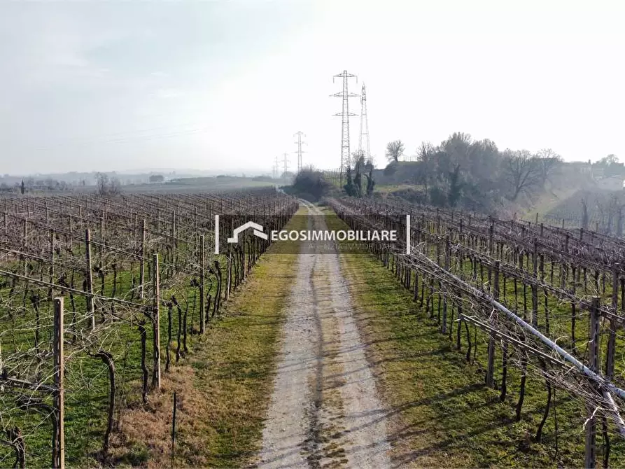 Immagine 24 di Rustico / casale in vendita  in Via Bellavista snc a Sona