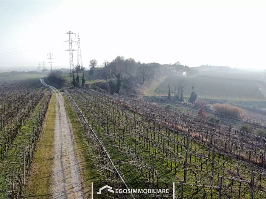 Immagine 26 di Rustico / casale in vendita  in Via Bellavista snc a Sona