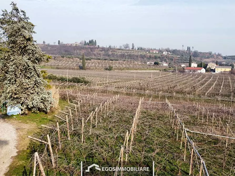 Immagine 29 di Rustico / casale in vendita  in Via Bellavista snc a Sona