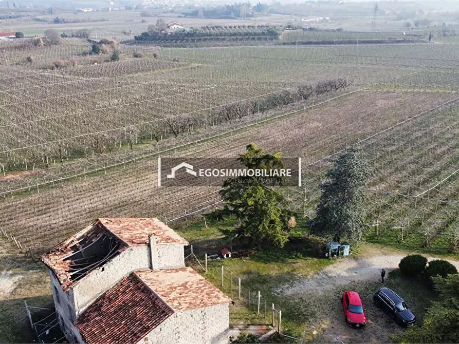 Immagine 1 di Terreno agricolo in vendita  in Via Bellavista snc a Sona