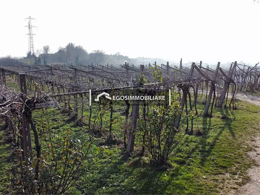 Immagine 22 di Terreno agricolo in vendita  in Via Bellavista snc a Sona