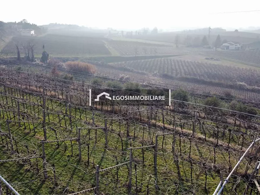 Immagine 25 di Terreno agricolo in vendita  in Via Bellavista snc a Sona