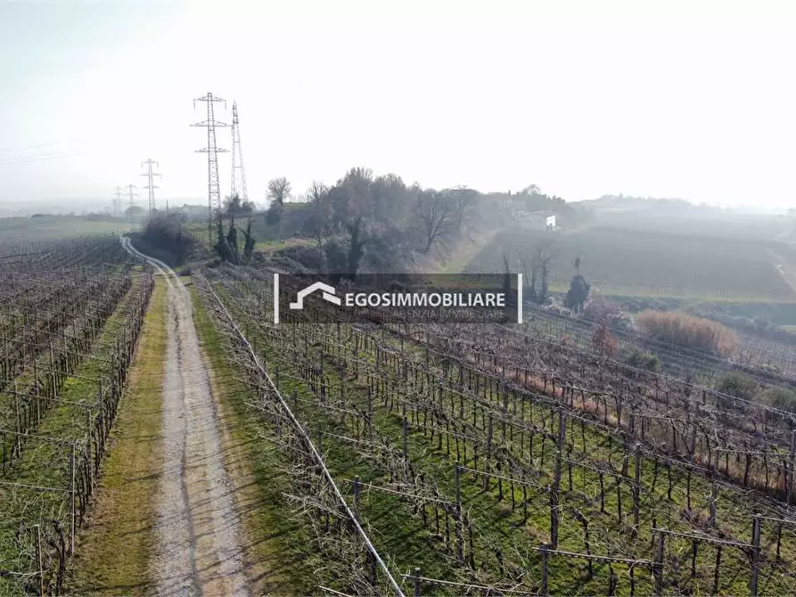 Immagine 26 di Terreno agricolo in vendita  in Via Bellavista snc a Sona