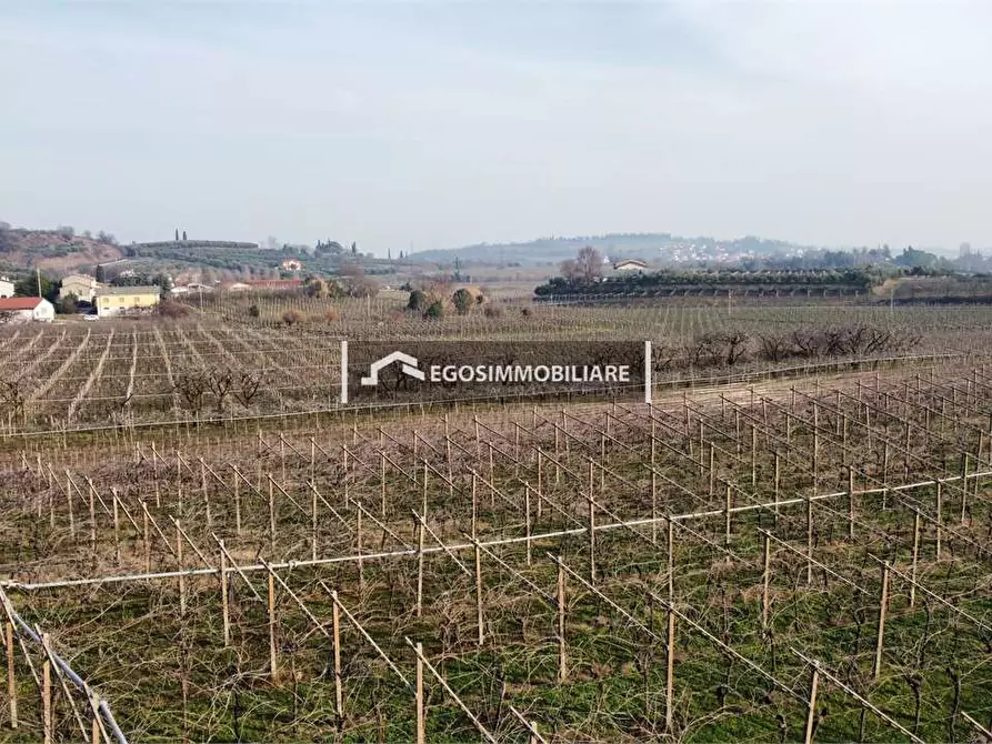 Immagine 27 di Terreno agricolo in vendita  in Via Bellavista snc a Sona